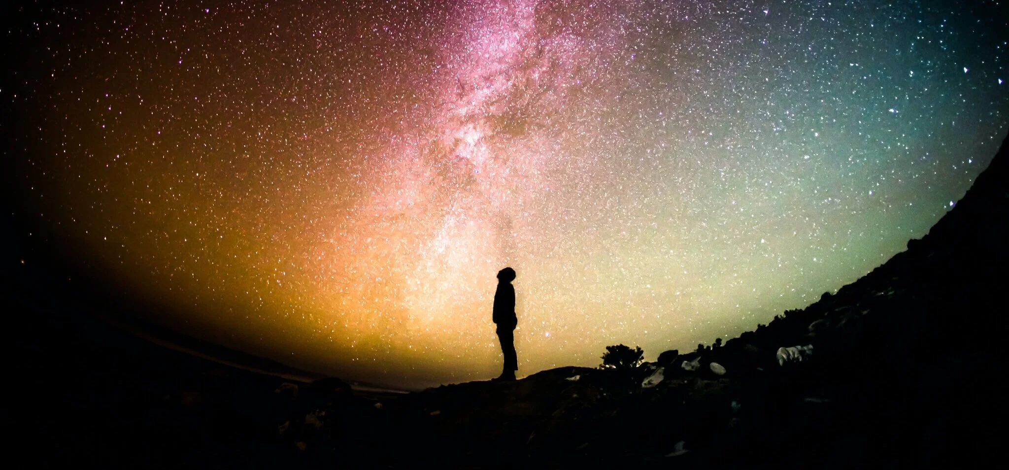 Desktop & Portal — Leximancer Qualitative Research | Survey Analysis ...