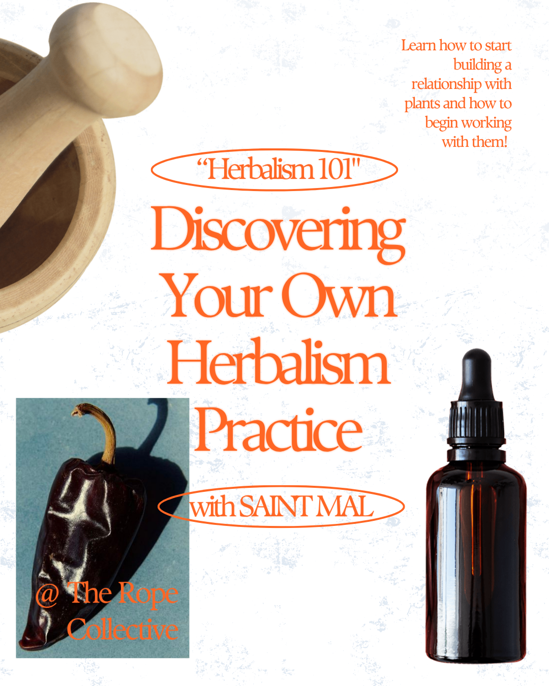 Herbalism 101/Discovering your Own Herbalism Practice