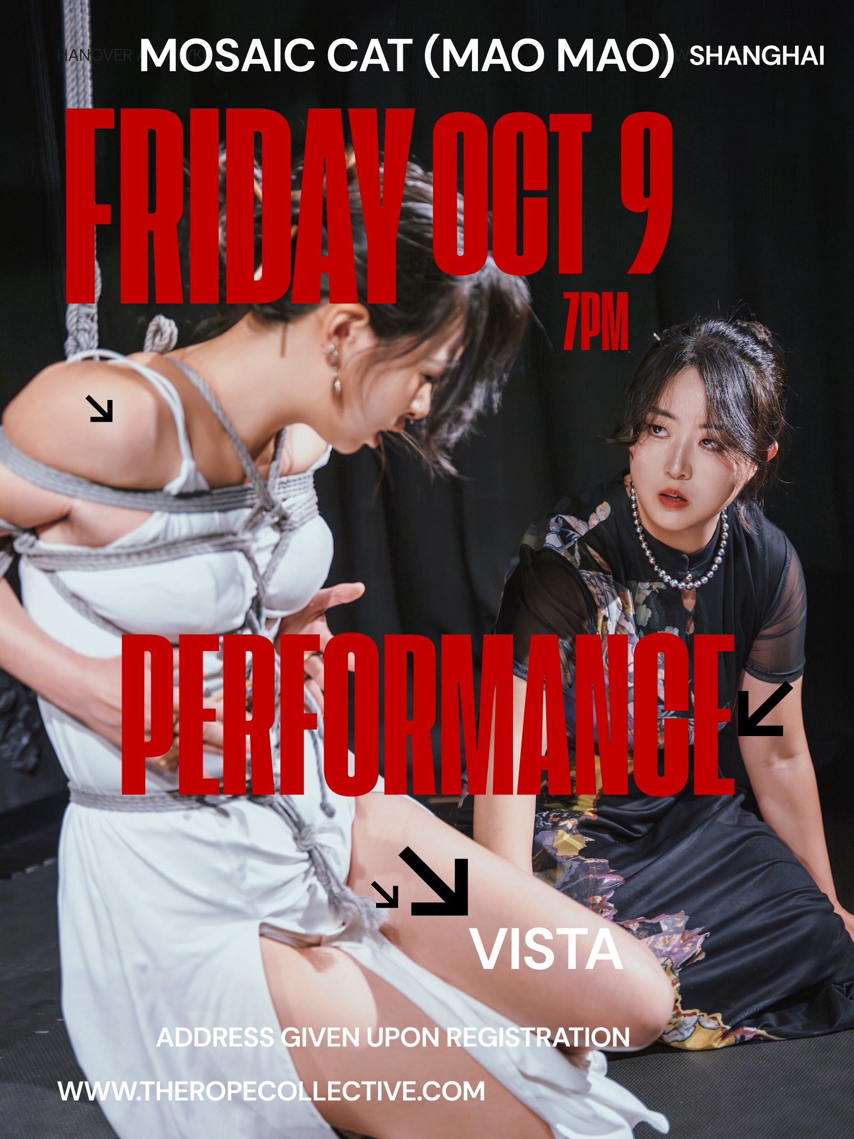 Performance with Mosaic Cat
