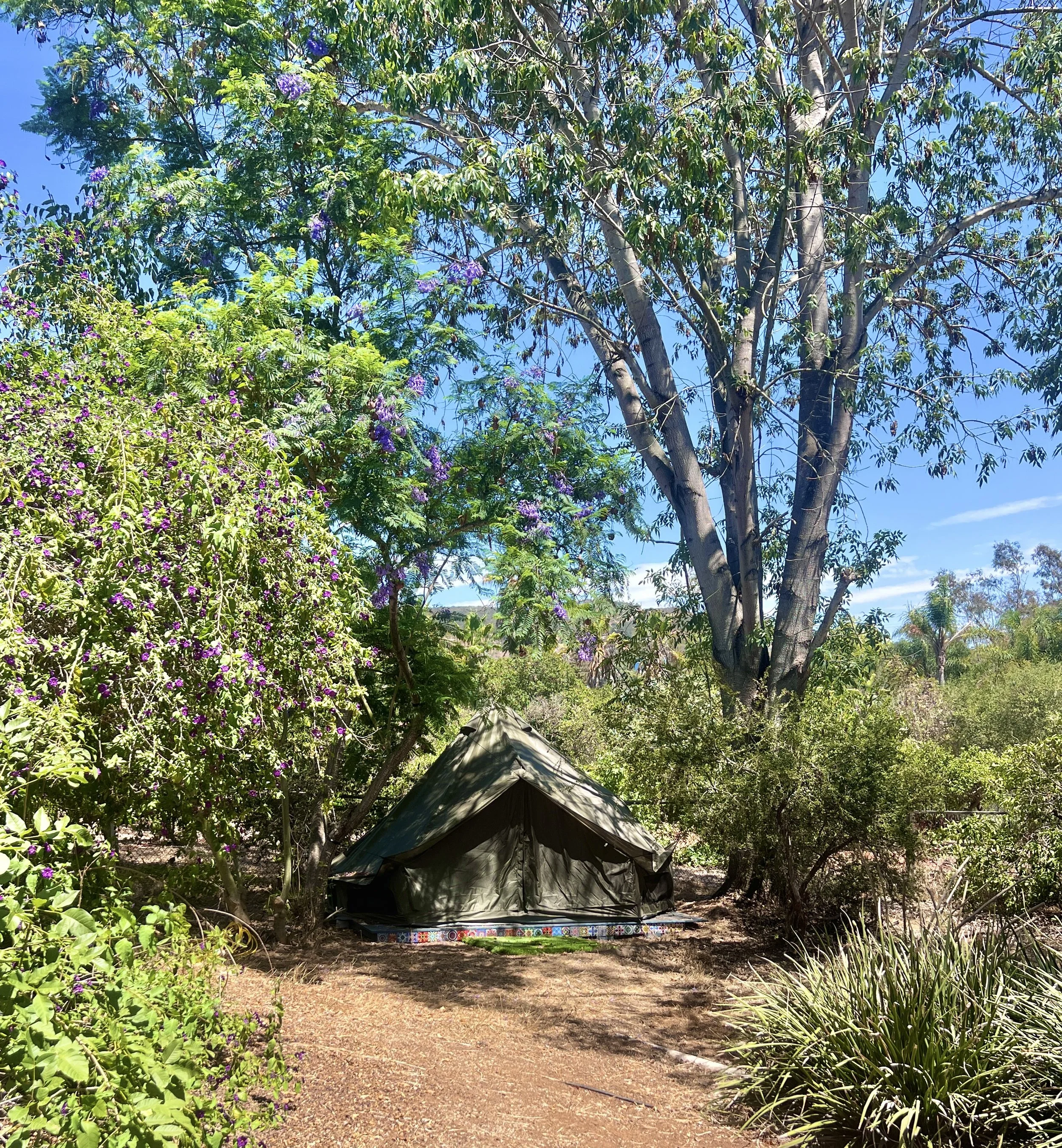 Camping/ Royal Temple/ TPOS: Eclipse