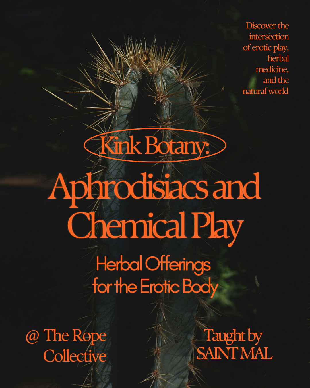 Kink Botany - aphrochem.png
