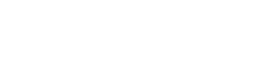 Dash Fund logo