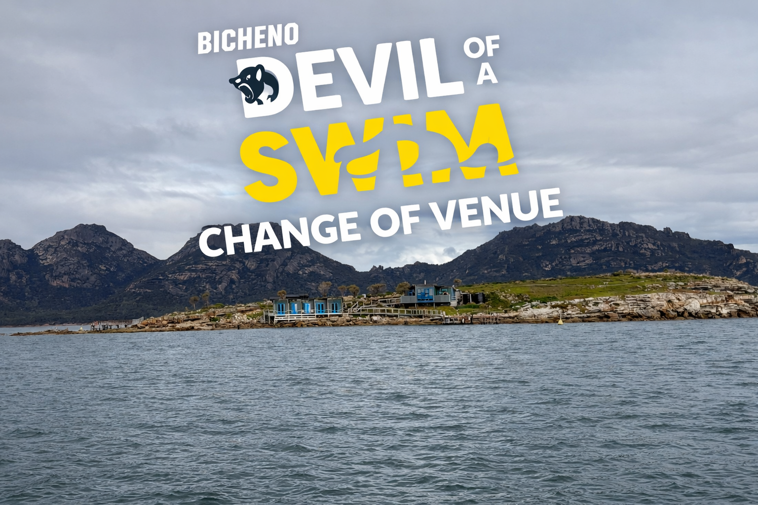 Bicheno Devil of a Swim picnic island photo.png