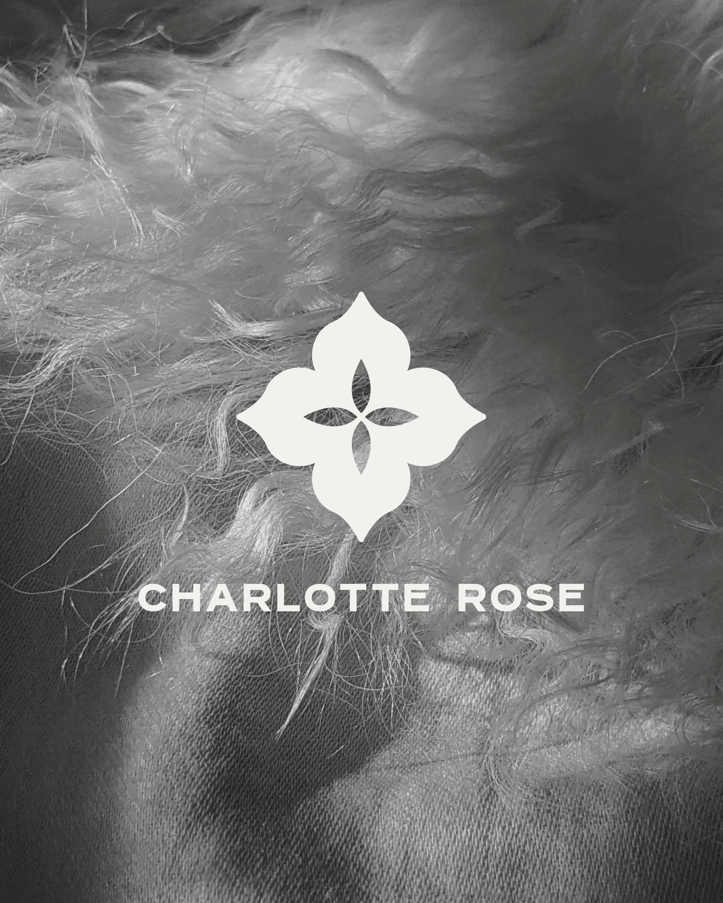 Branding para Charlotte Rose [pt.2]
Quer&iacute;amos que la marca se sintiera simple, elevada y con personalidad, sin necesidad de sobreexplicarse. De esas identidades donde todo simplemente se siente &ldquo;en su lugar&rdquo;. ✨

&mdash;&mdash;&mdas
