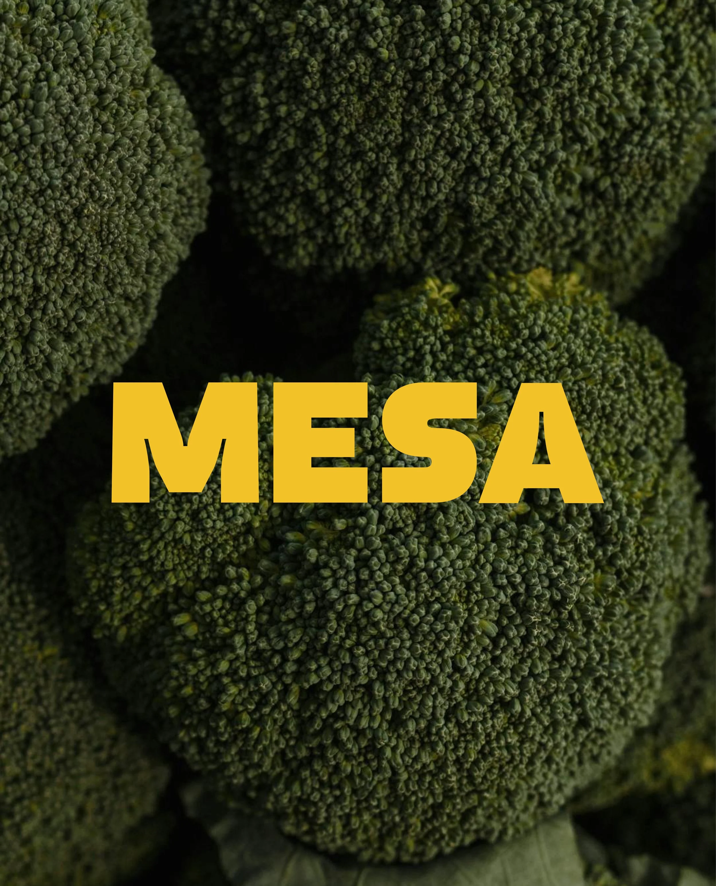 Mesa