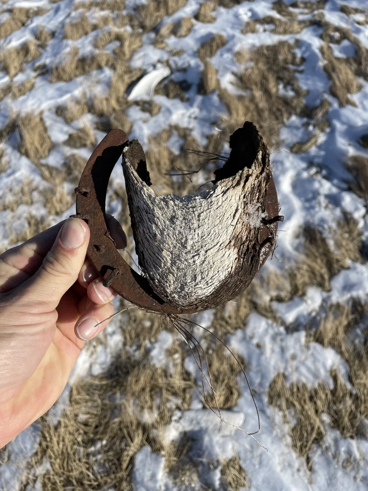 A hand holding a rusted piece of metal over snow
