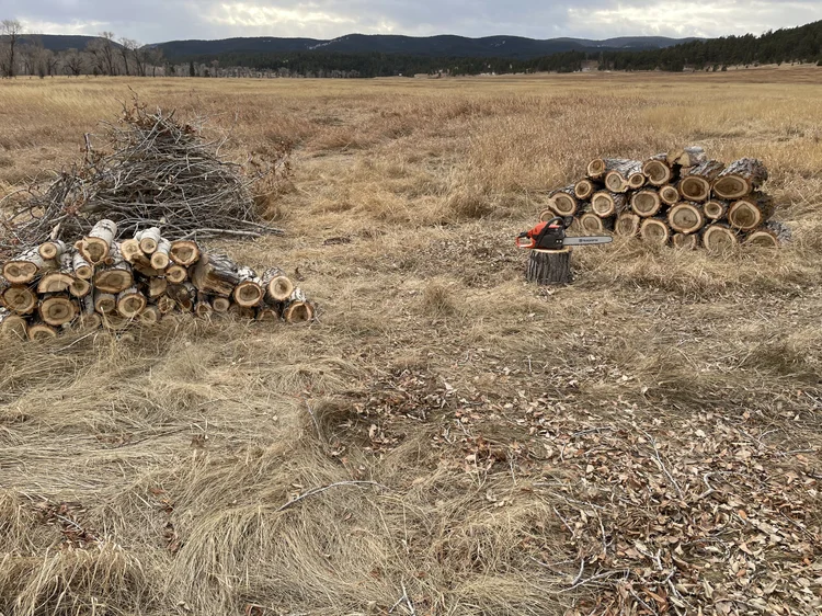 Split wood stacked in a winter pasture