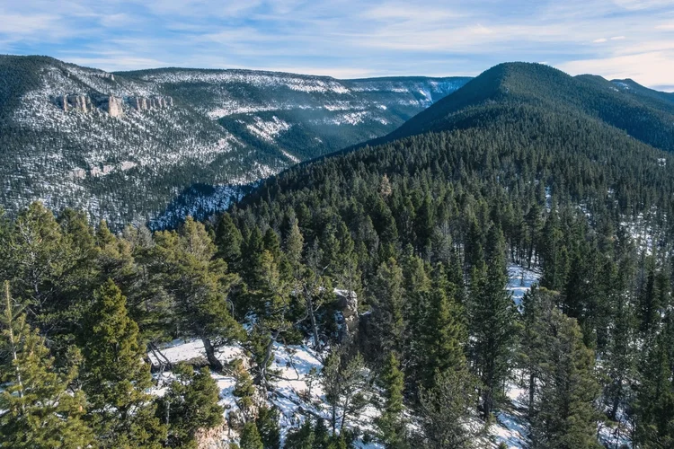 Forested ridges and snow seen from a high point