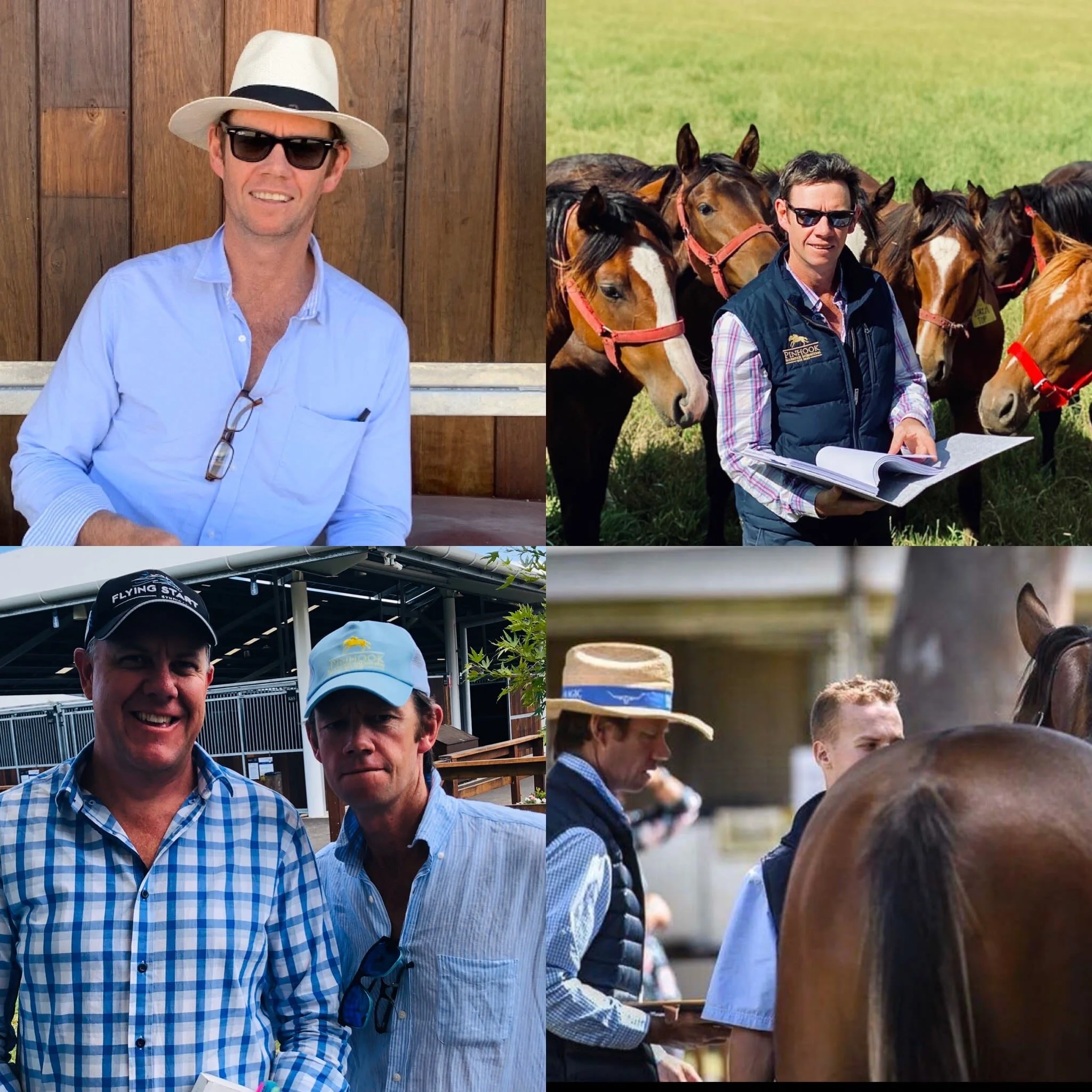 The Pinhook Files - PBI Newsletter December 2019