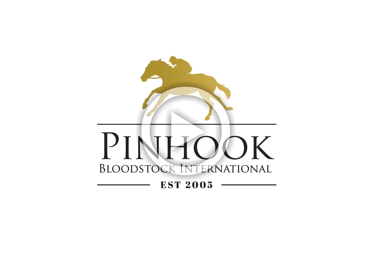 Pinhook Bloodstock International Video Blog - Aug/Sept 2017
