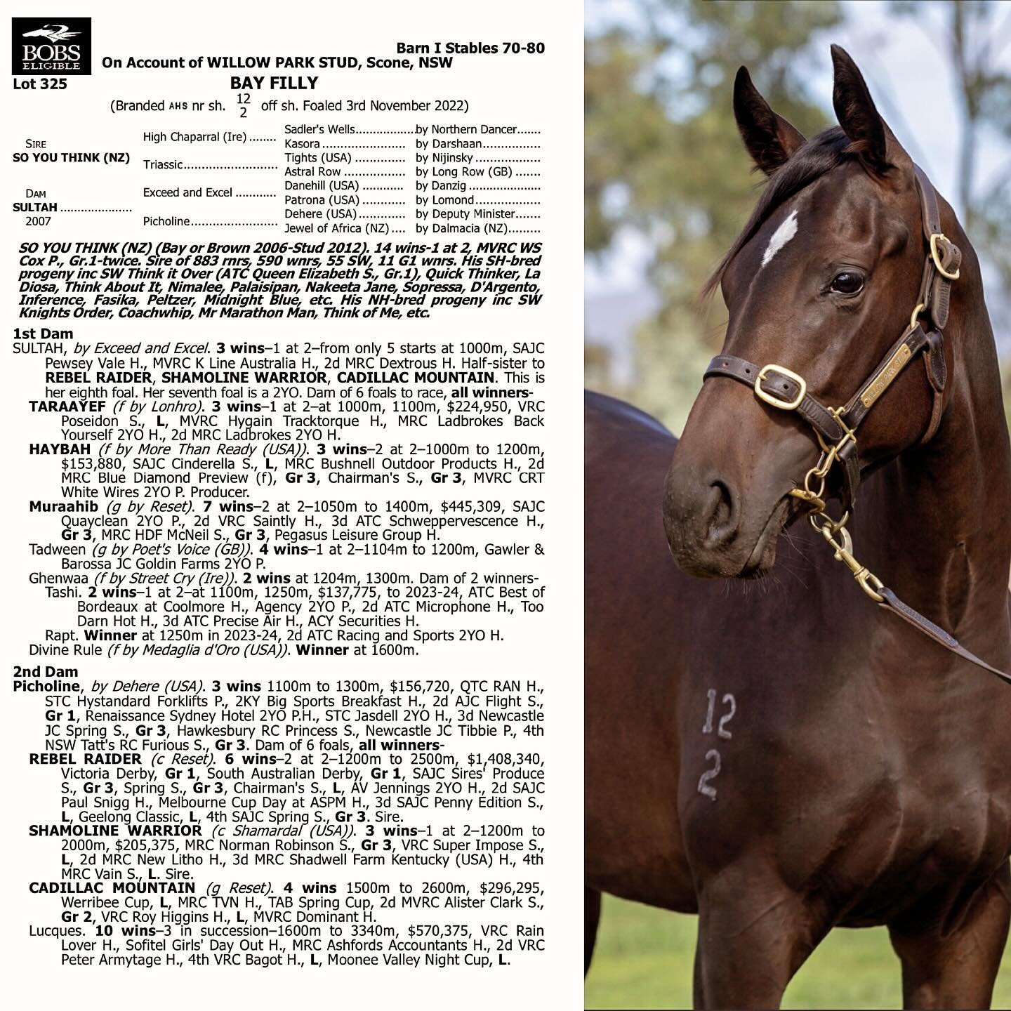 ❤️ #InglisEaster Purchase ❤️

Lot 325: So You Think x Sultah (Exceed and Excel) filly for $160,000
Vendor: @willowparkstud 

While the primary focus is always on finding an equine athlete capable of winning at the highest level, when they look and mo