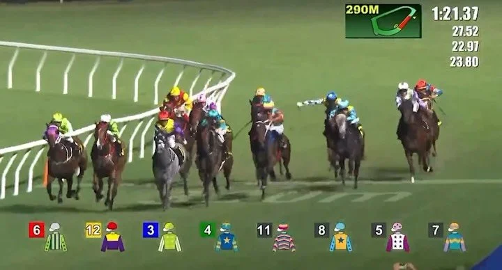 Fantastic to see the ever consistent MIGHTY STEED back up his recent good form and salute last night at Happy Valley
A masterclass from @zpurton from the wide gate.
Racing as Snellen in NZ, The Time Test gelding was a PBI private purchase for HK conn