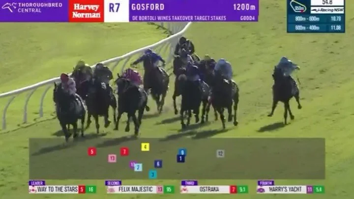 Decisions, decisions &hellip;. 

1.  Head to the home track to see The King salute for his 4th Stakes Victory

Or&hellip;.

2. My son&rsquo;s 9yo birthday bash with The Boys 🤔

👑King Of Roseau (4g Capitalist x Dominica) claims a fourth Stakes win i