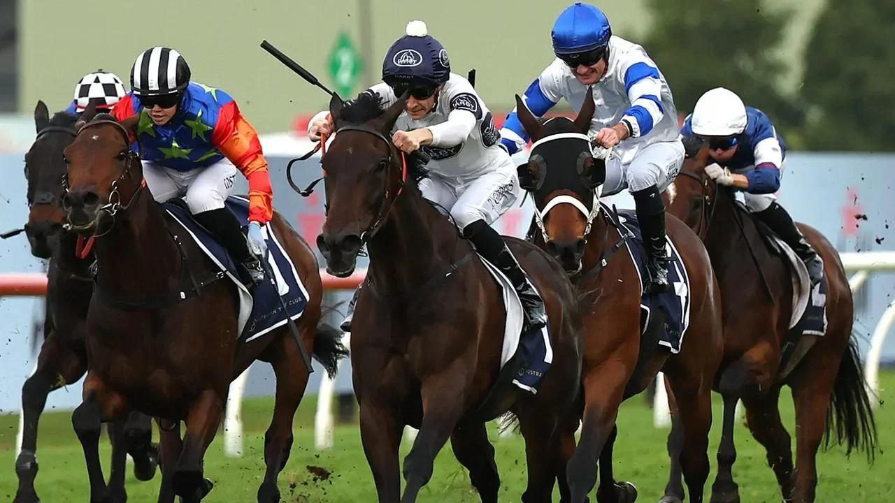 Thebudgiesmugla packs a punch with QEII Cup win