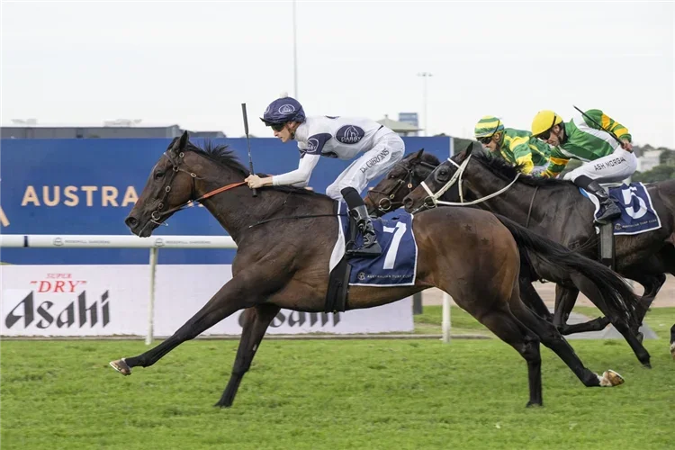 Thebudgiesmugla on the spring Cups trail after another outstanding win