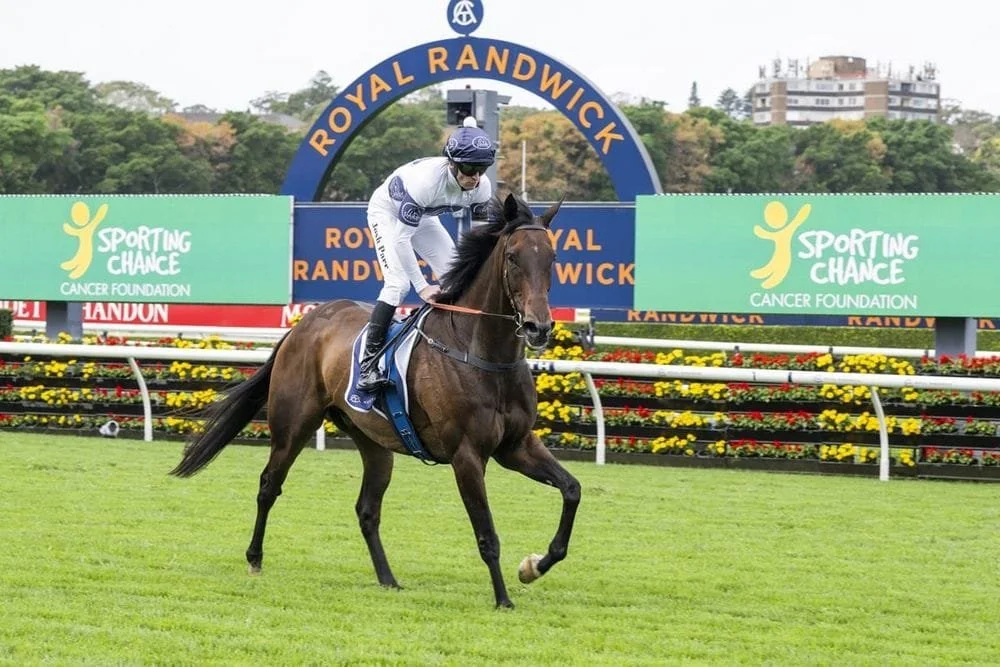 Darby's Kiwi blueprint delivers another feature winner
