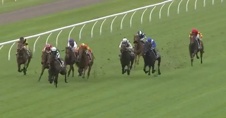 Congratulations to @YulongInvest, along with great friends and breeders Glenn &amp; Mira Hale, and a superb training performance by @R1CHARDFREEDMAN &amp; @willfreedman.

Genesis Runner is the first 🇦🇺 Australian winner by 🇺🇸 superstar sire #GunR