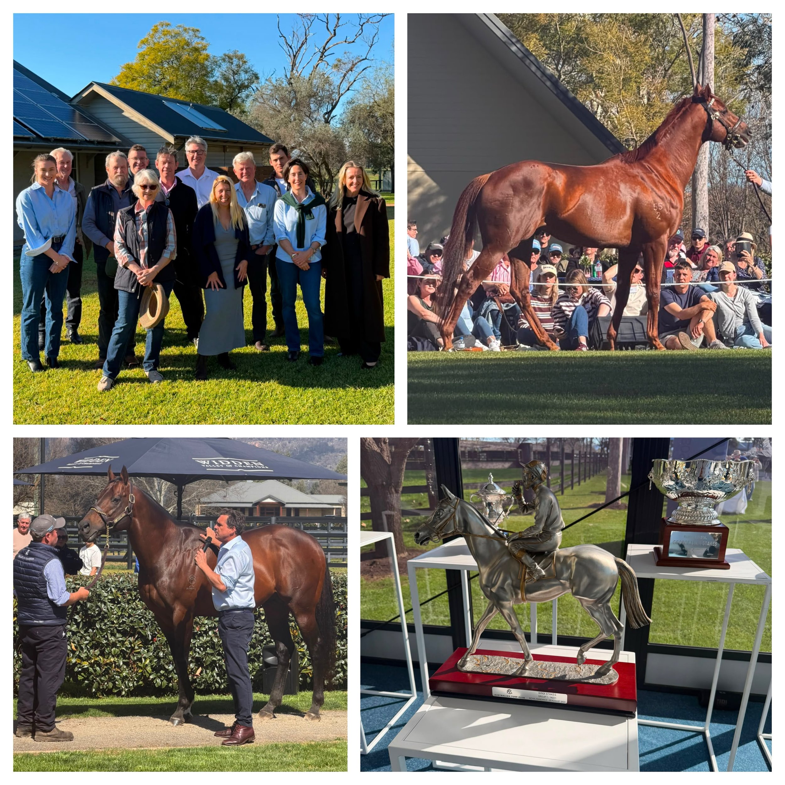 Take me back! 🏇☀️

Wish we could do it all again.

A fantastic weekend in the Hunter for the Stallion Parade Weekend, showcasing the incredible depth and quality the NSW thoroughbred industry has to offer.

A huge thank you to the #Glitterbox Gang f