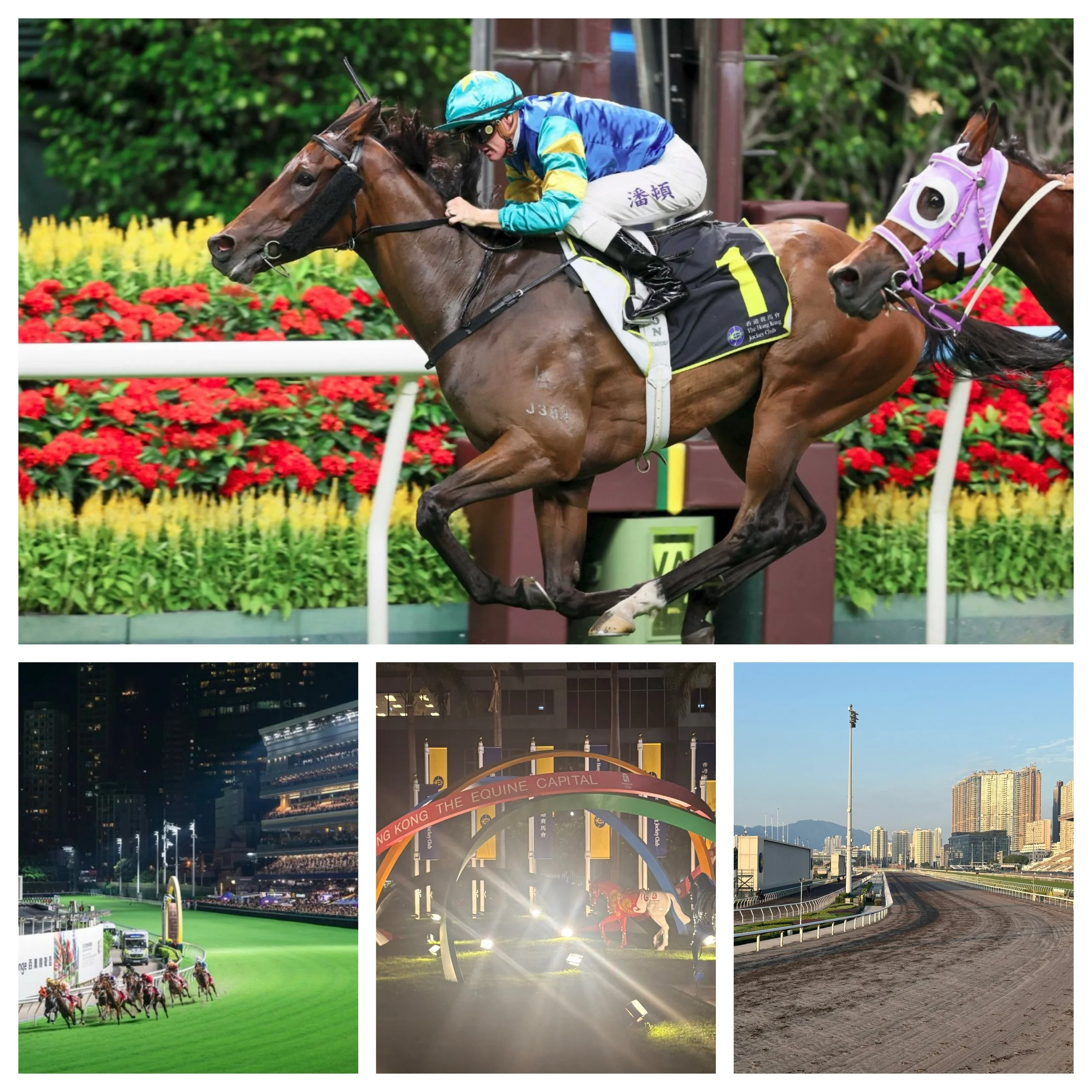 🇭🇰 Hong Kong. Never disappoints 🇭🇰

Horse racing aside, IMO it is truly one of the world&rsquo;s great cities.
Vibrant and energetic &mdash; just a great city with grit and soul.

Fantastic to catch up with friends and clients, and spend time at 