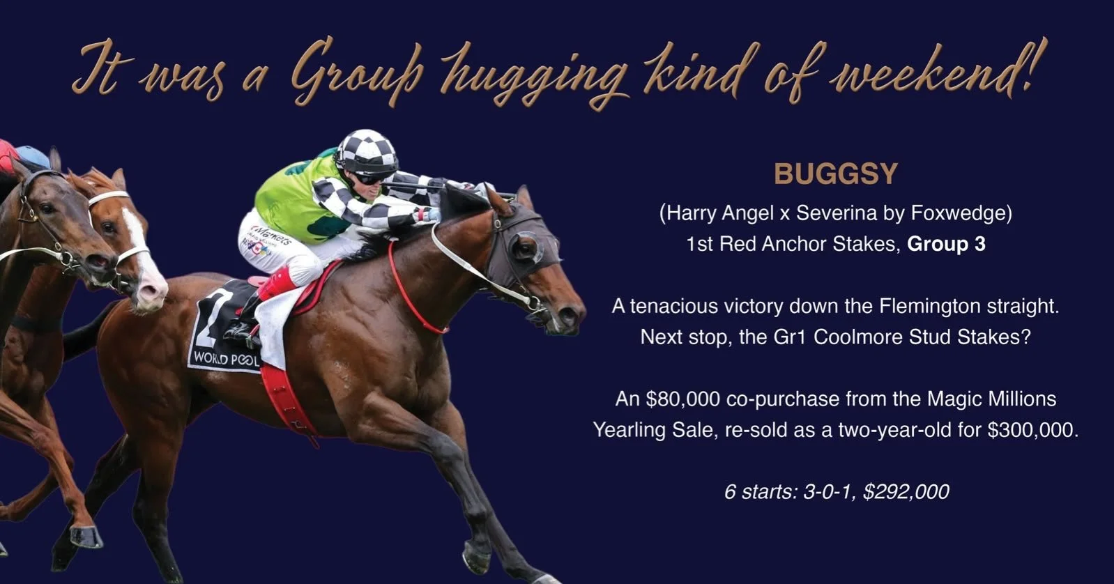 It was a Group Hugging Kinda Weekend!
A big few days for PBI-sourced horses, with plenty to celebrate!

BUGGSY
Harry Angel x Severina (Foxwedge)
🥇 1st &mdash; Red Anchor Stakes, Gr 3

An $80,000 co-purchase from Magic Millions, then re-sold as a two