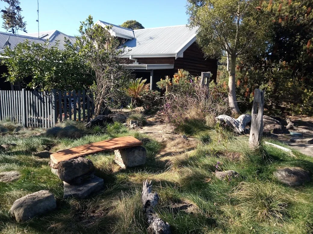 Sustainable alternatives to lawn