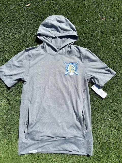 Youth Gray hoodie.jpg