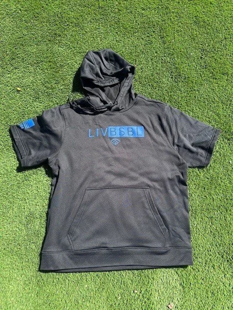 Youth Short  Sleeve Hooded Sweatshirt-Blue