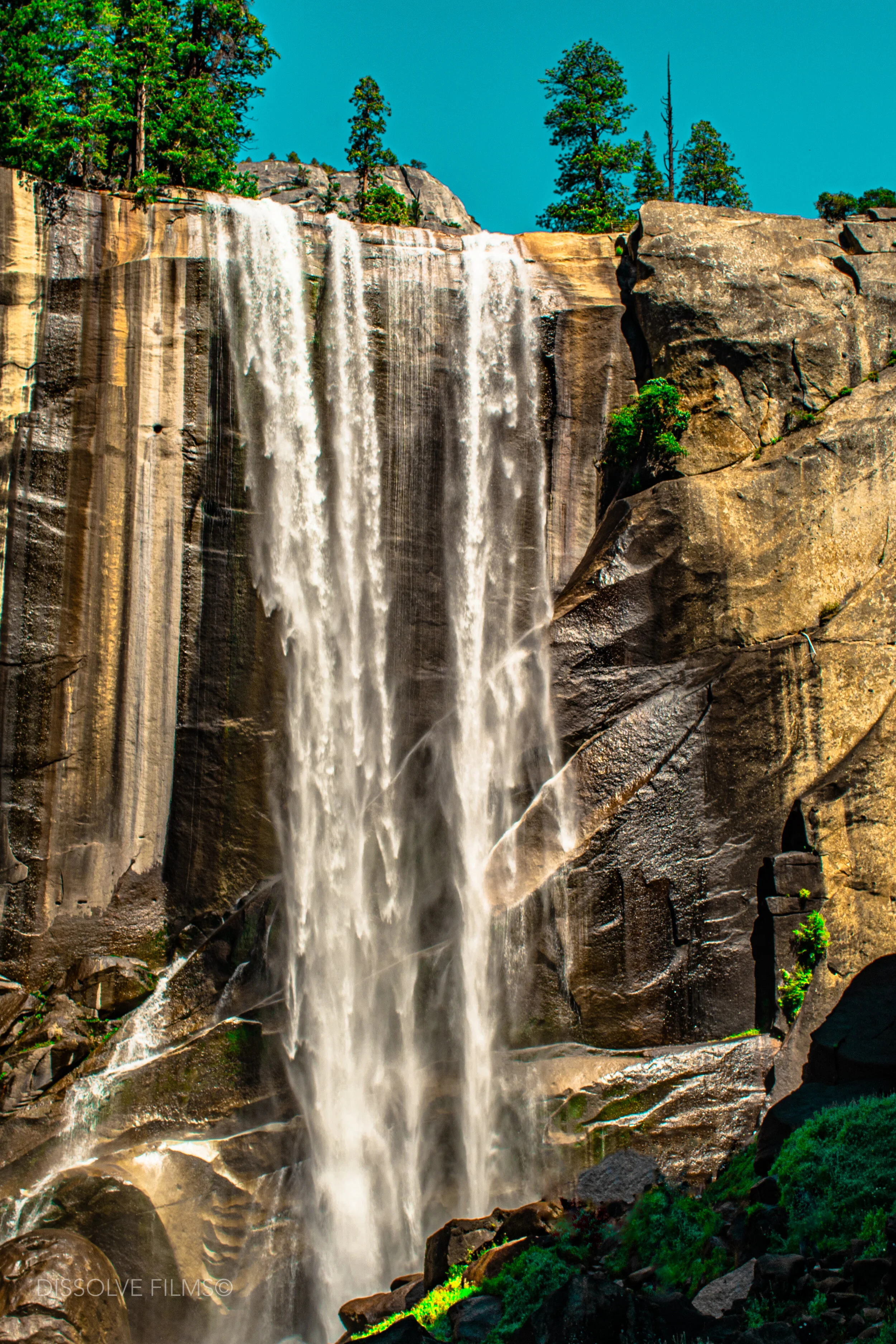 Californis Adventure_2019-21.jpg