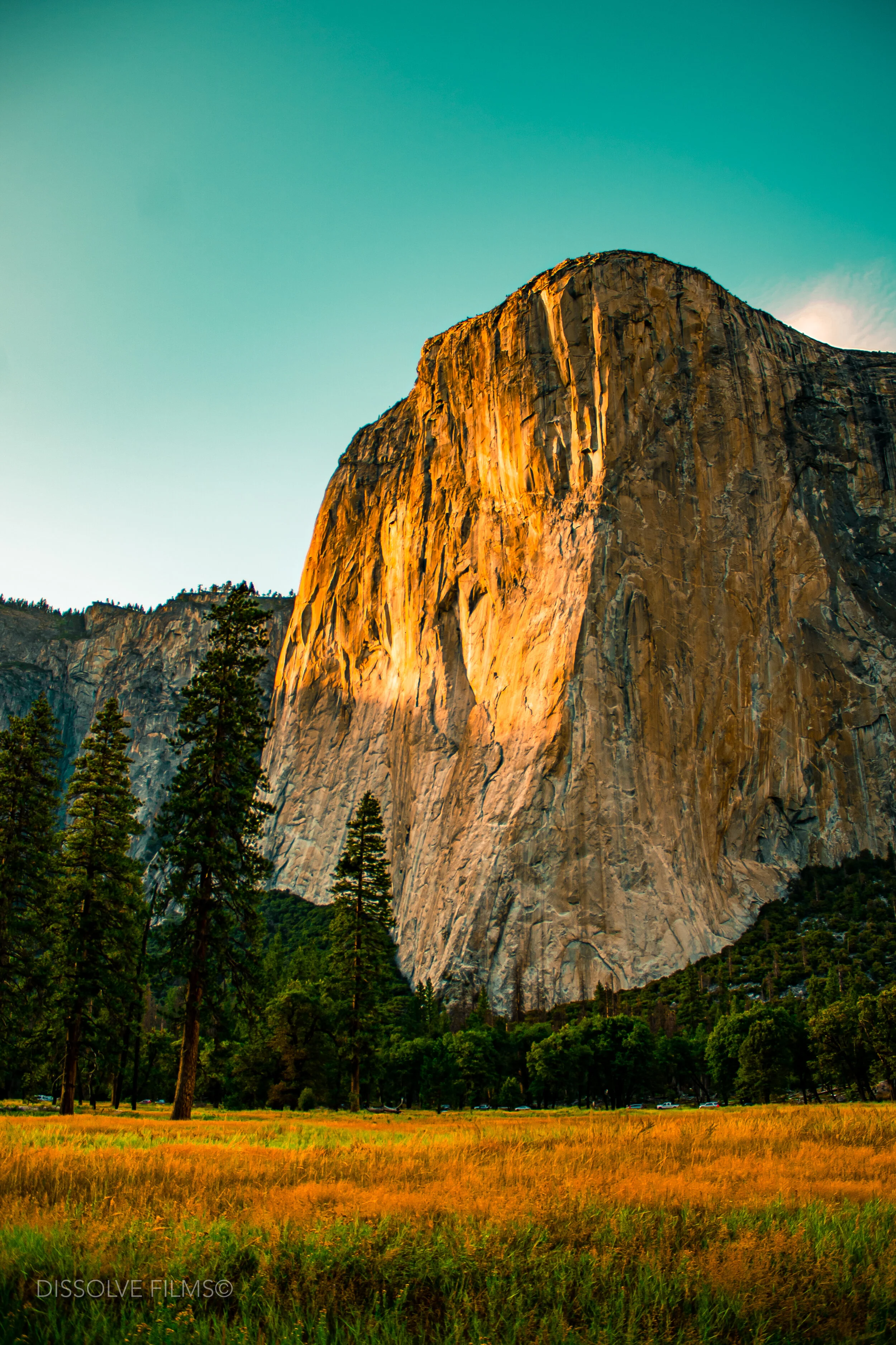 Californis Adventure_2019-12.jpg