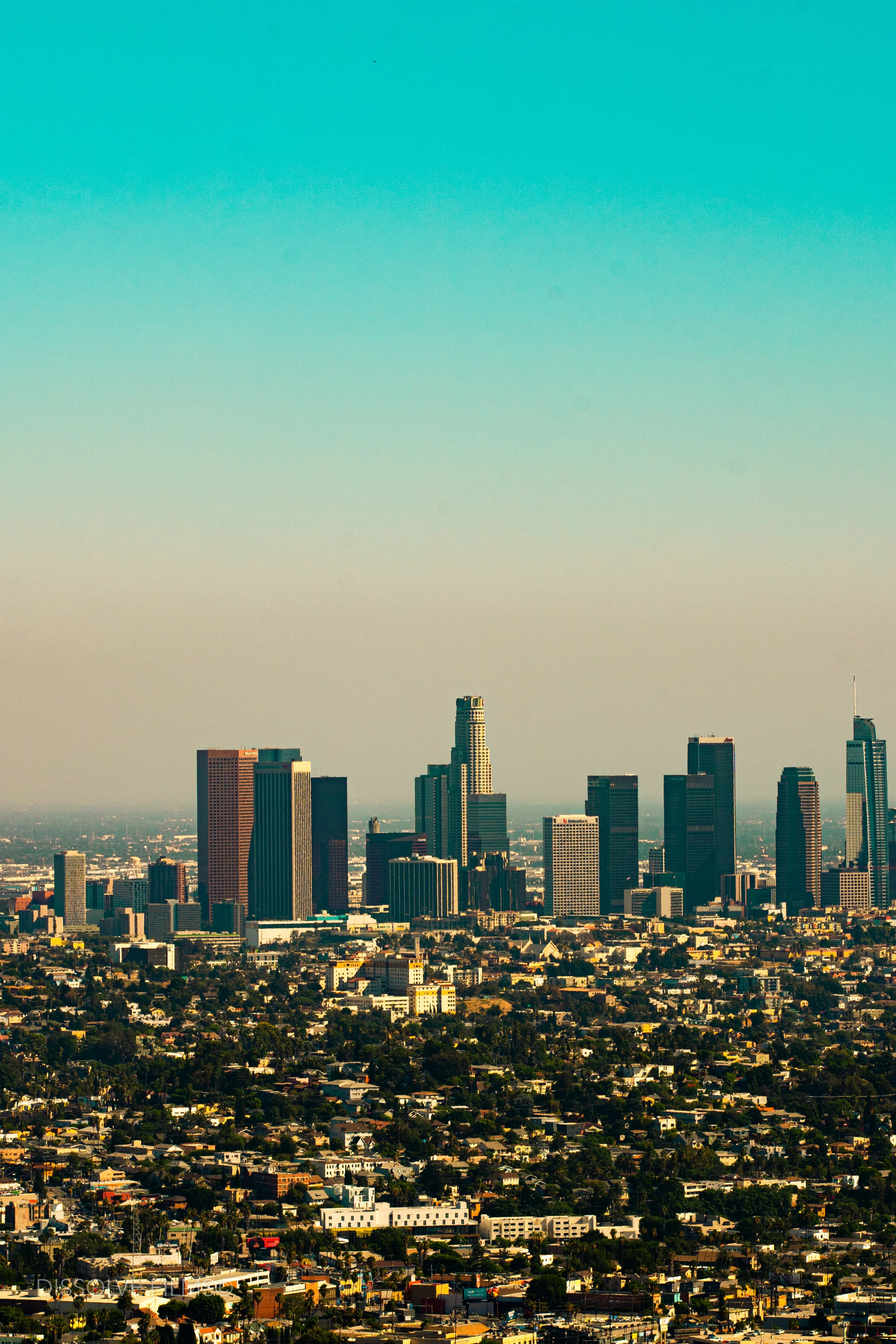 Californis Adventure_2019-42.jpg