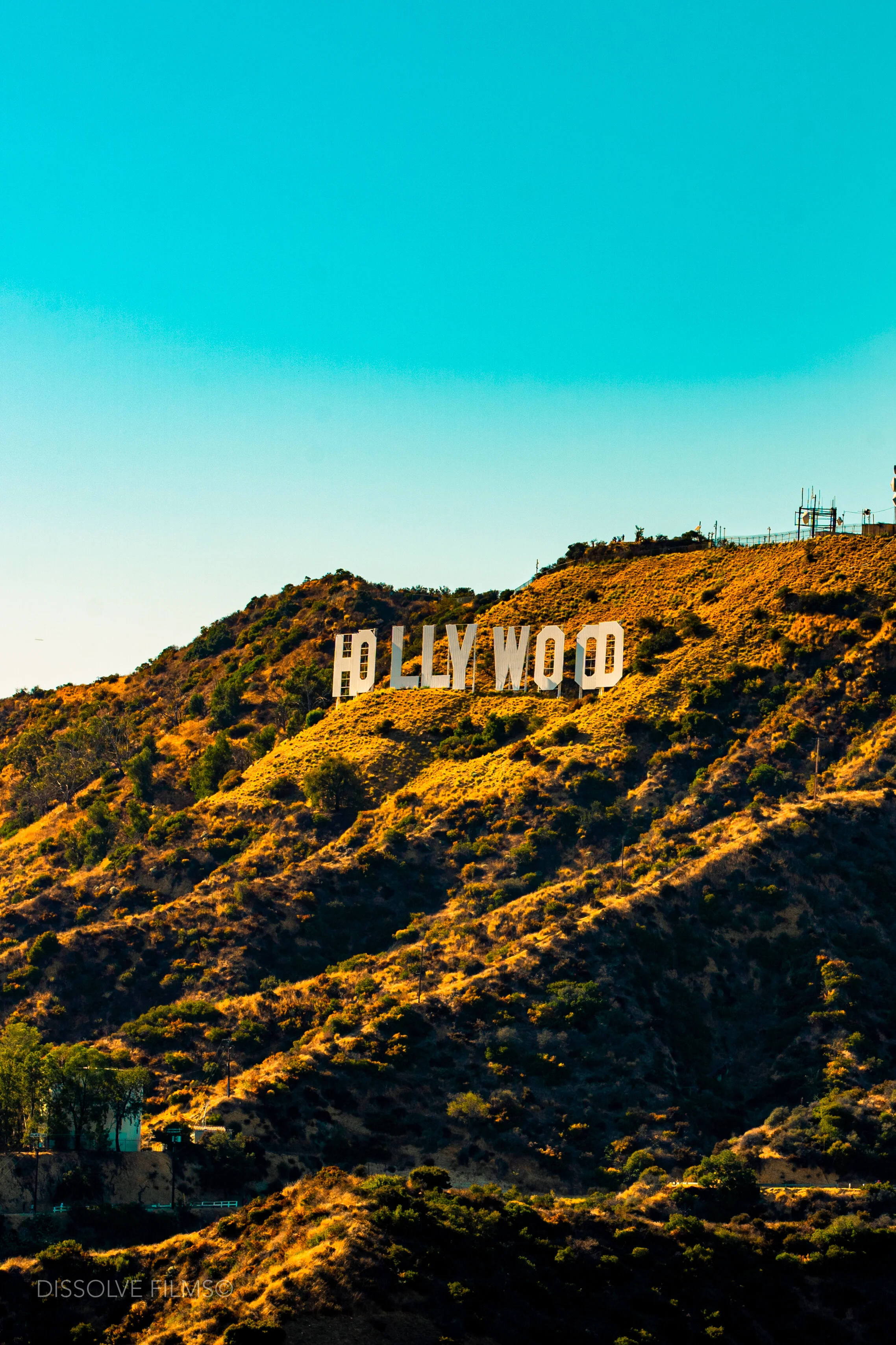 Californis Adventure_2019-45.jpg