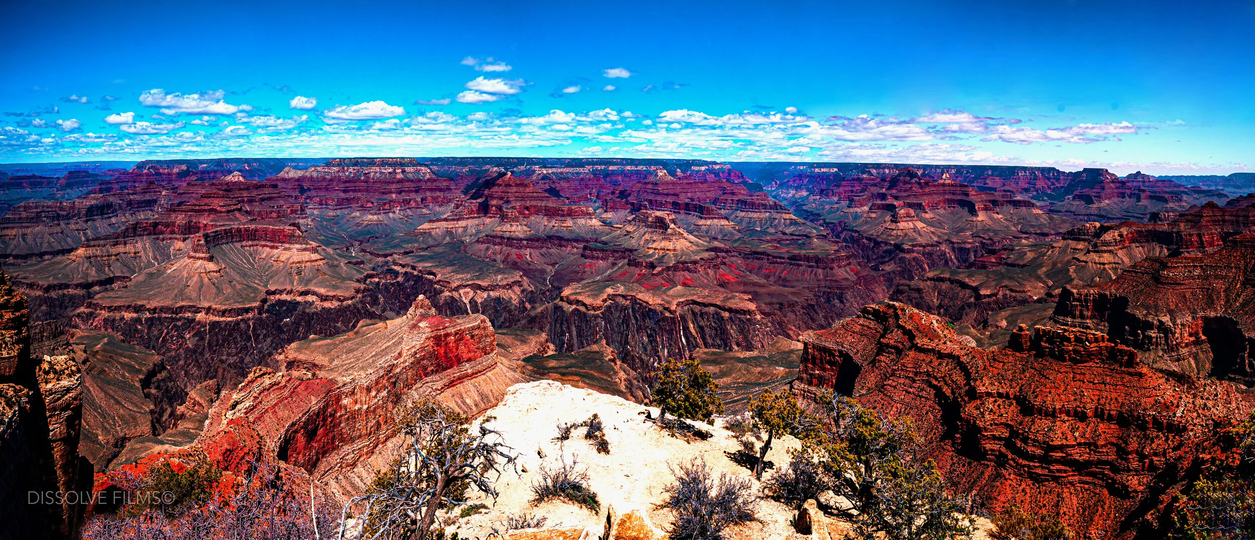 Grand Canyon_ WIDE 2019 DF.jpg