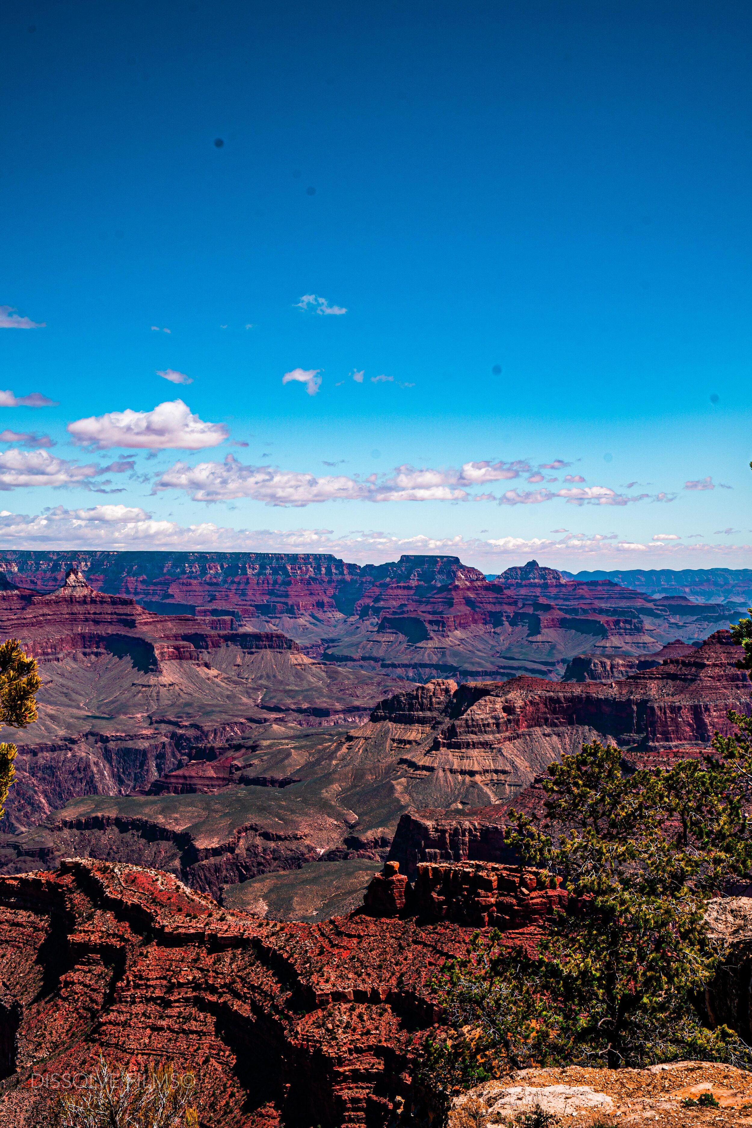 Grand Canyon_2019 DF-4.jpg