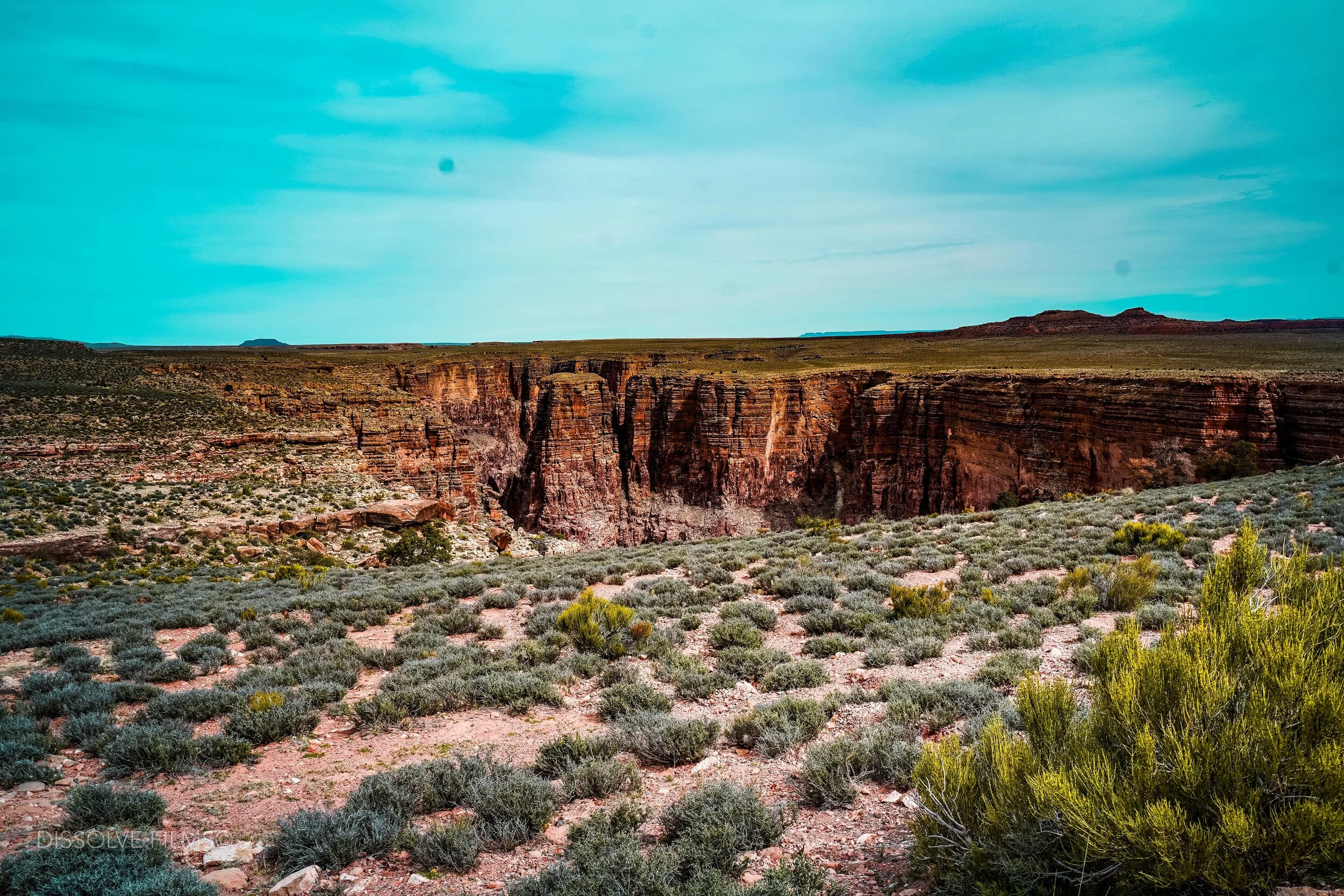 Grand Canyon_2019 DF-20.jpg