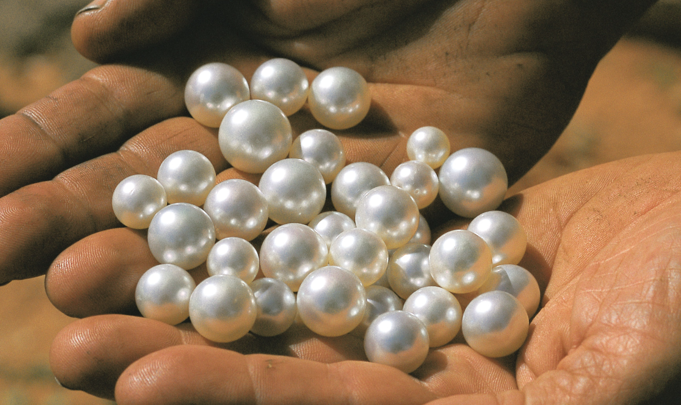 Screenshot 2025-12-19 at 12.22.41 PM.png