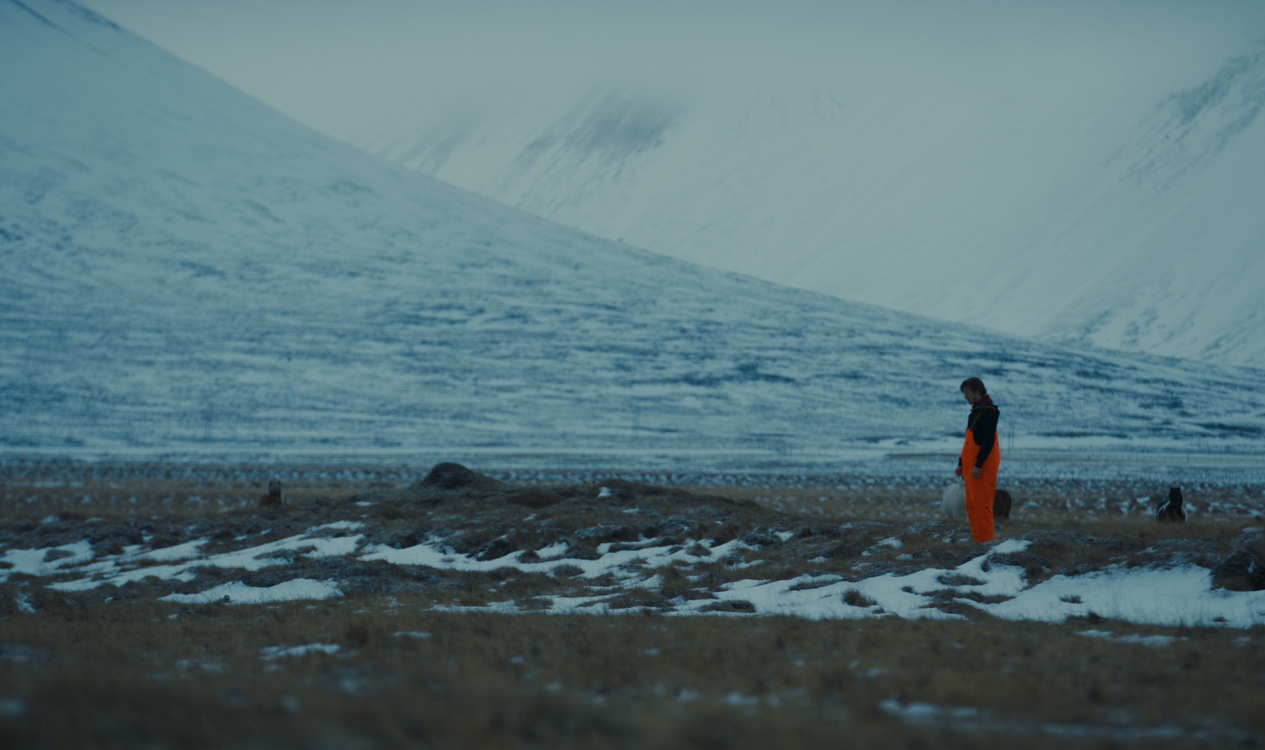 Iceland_1.20.1.png