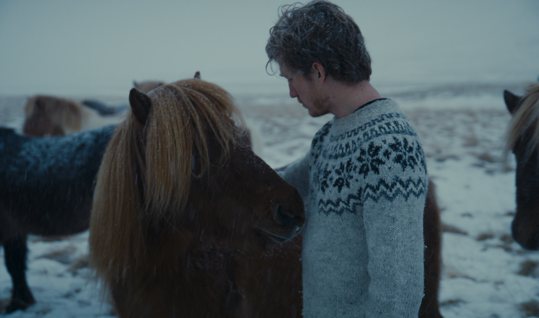 Iceland_1.25.1.png