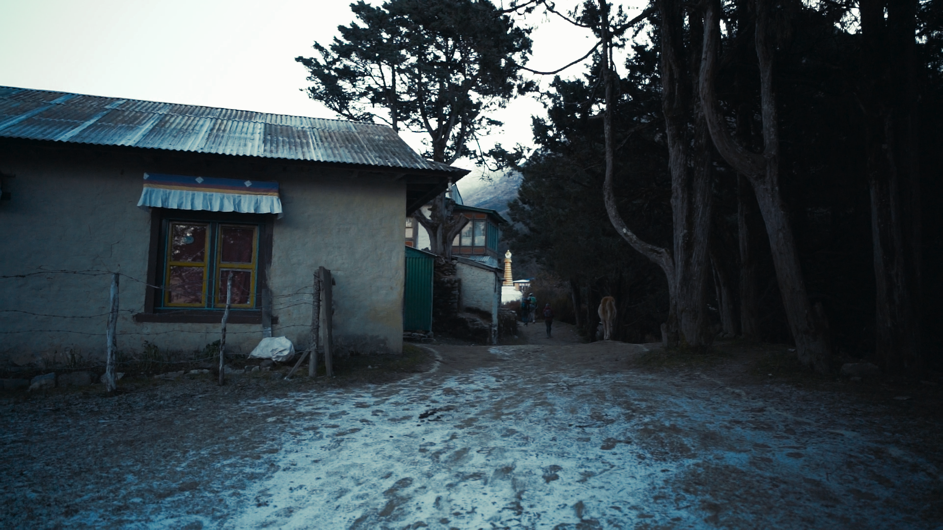 Nepal Stills_1.89.1.png