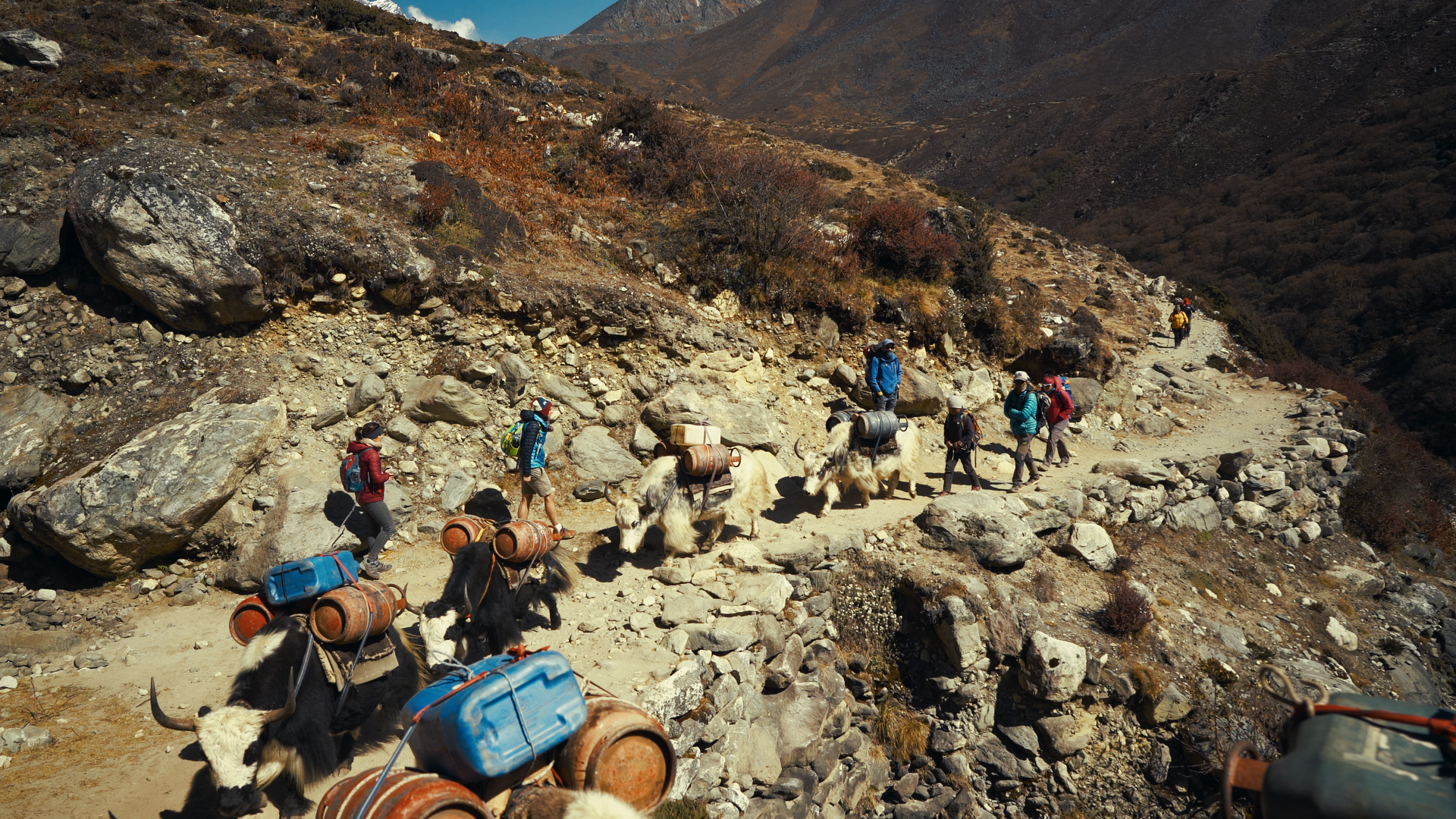 Nepal Stills_1.478.1.png