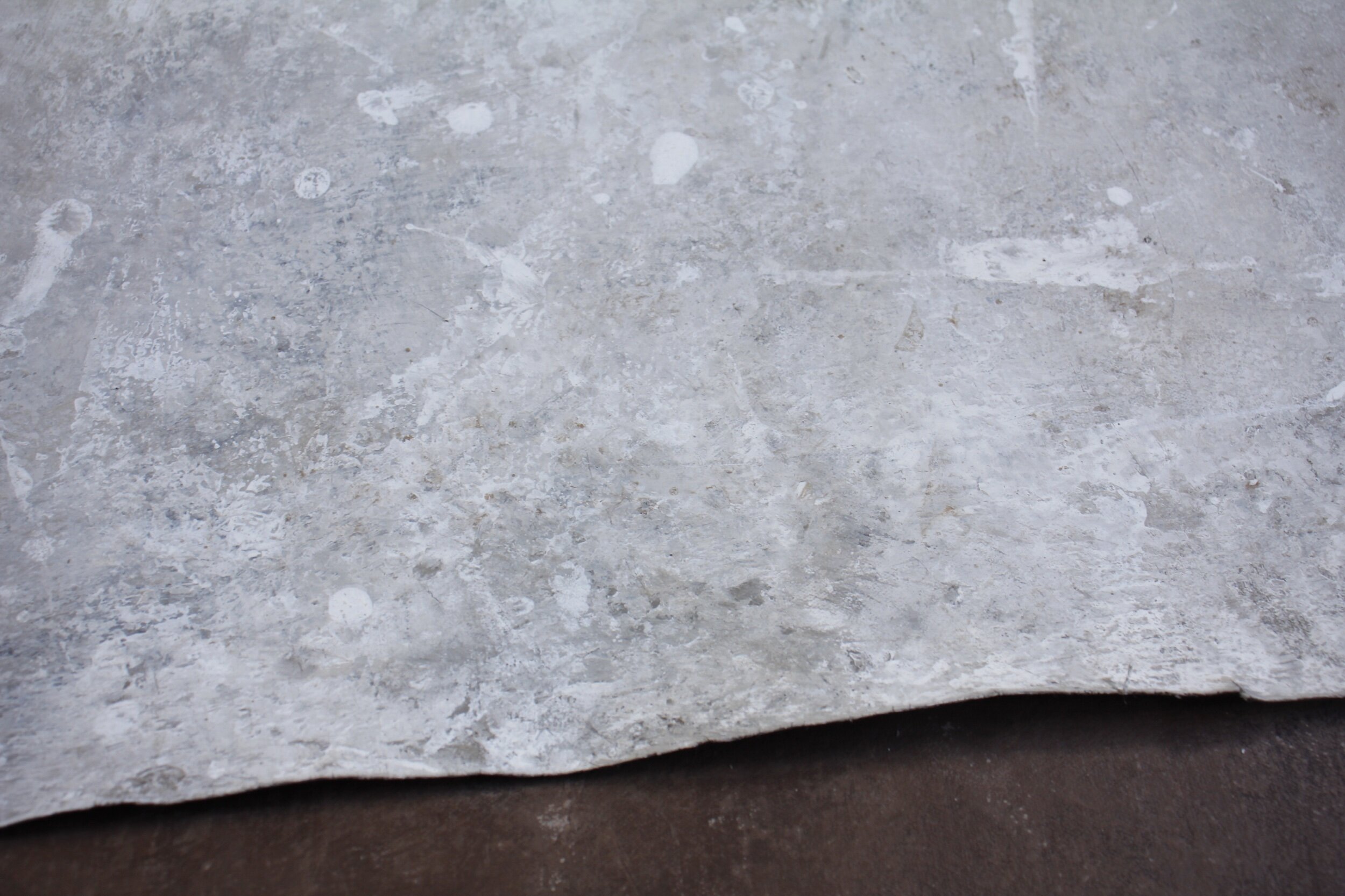 B14ACF24-3FE0-4A91-9171-38AC6E8F5F84