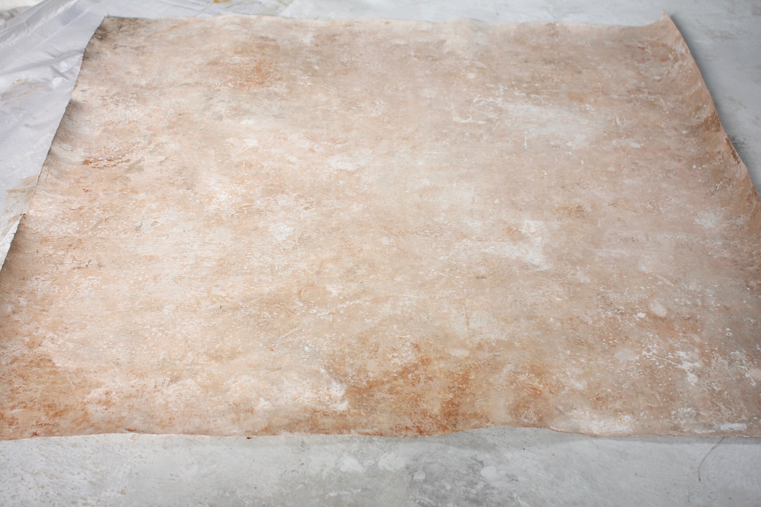 62A6DA83-69BA-4B4E-B6B9-2E1B8DD68F47