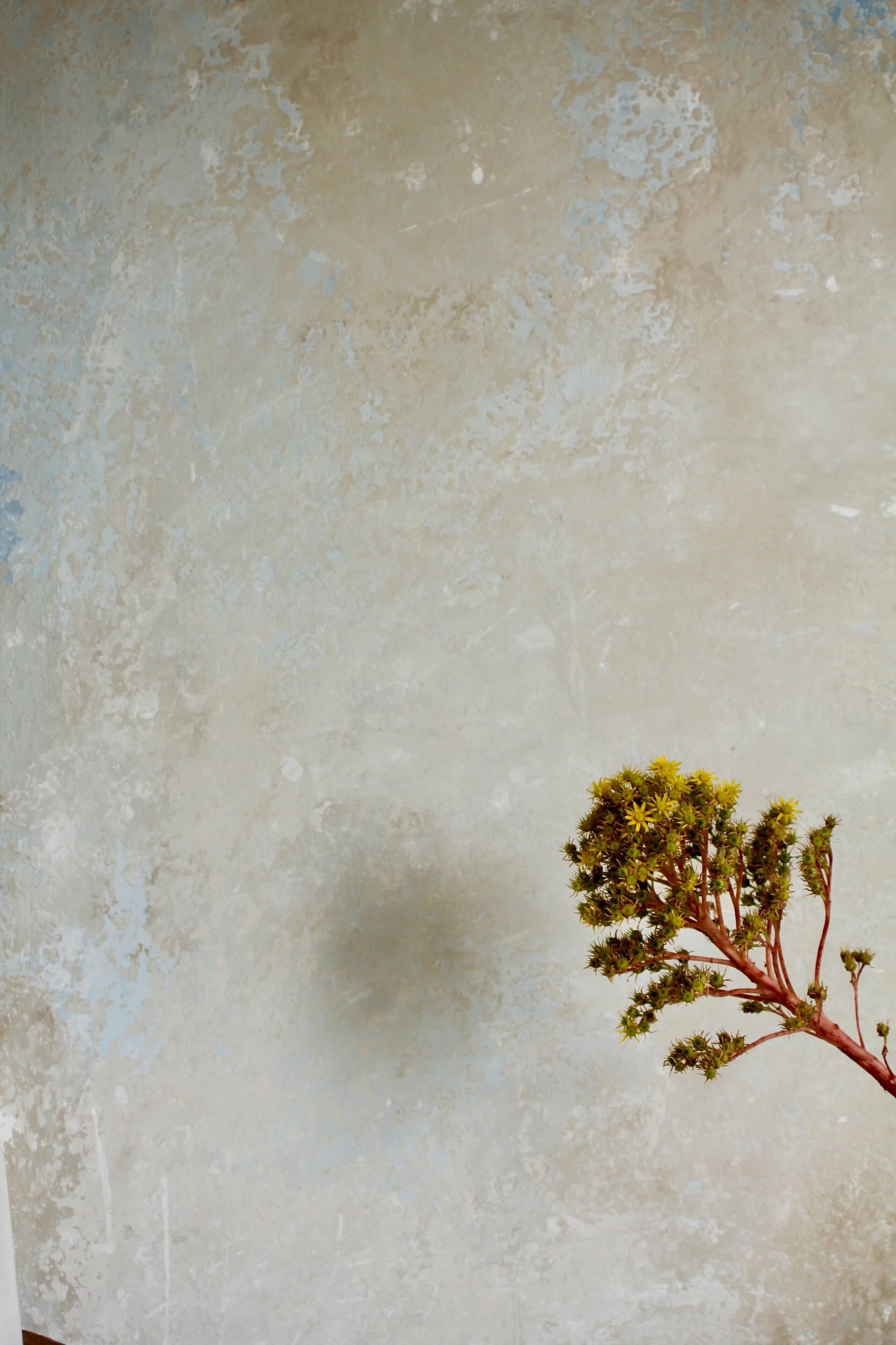 F8B22D98-6DB5-42F7-80B8-B972035CF773