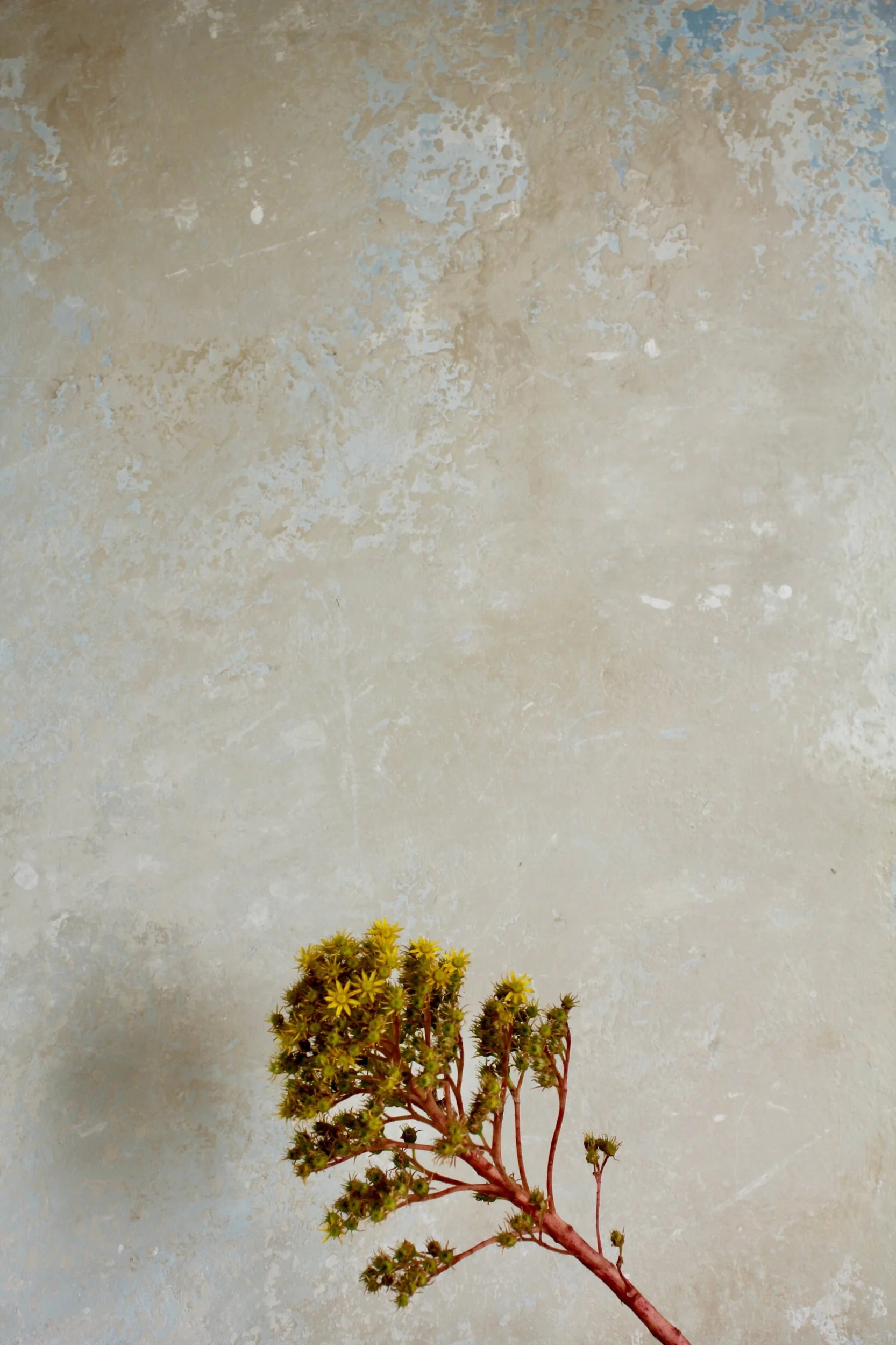 1195A1B3-67C7-4BEA-A2D1-79EAB3E72843