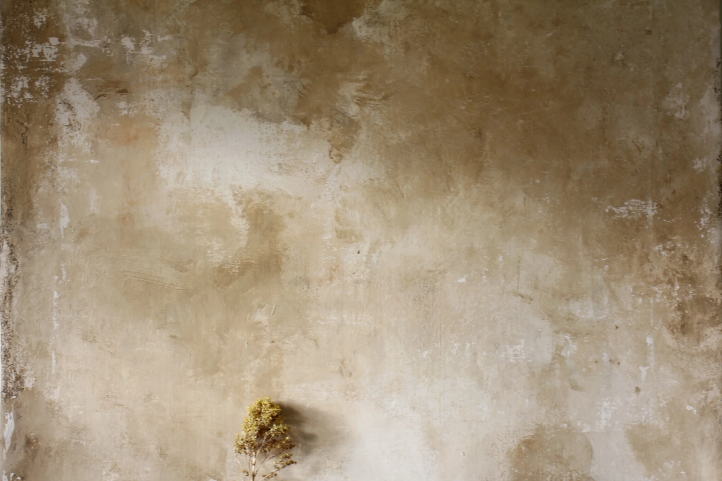 8DB5698C-5887-49B1-AB27-3283692B8580