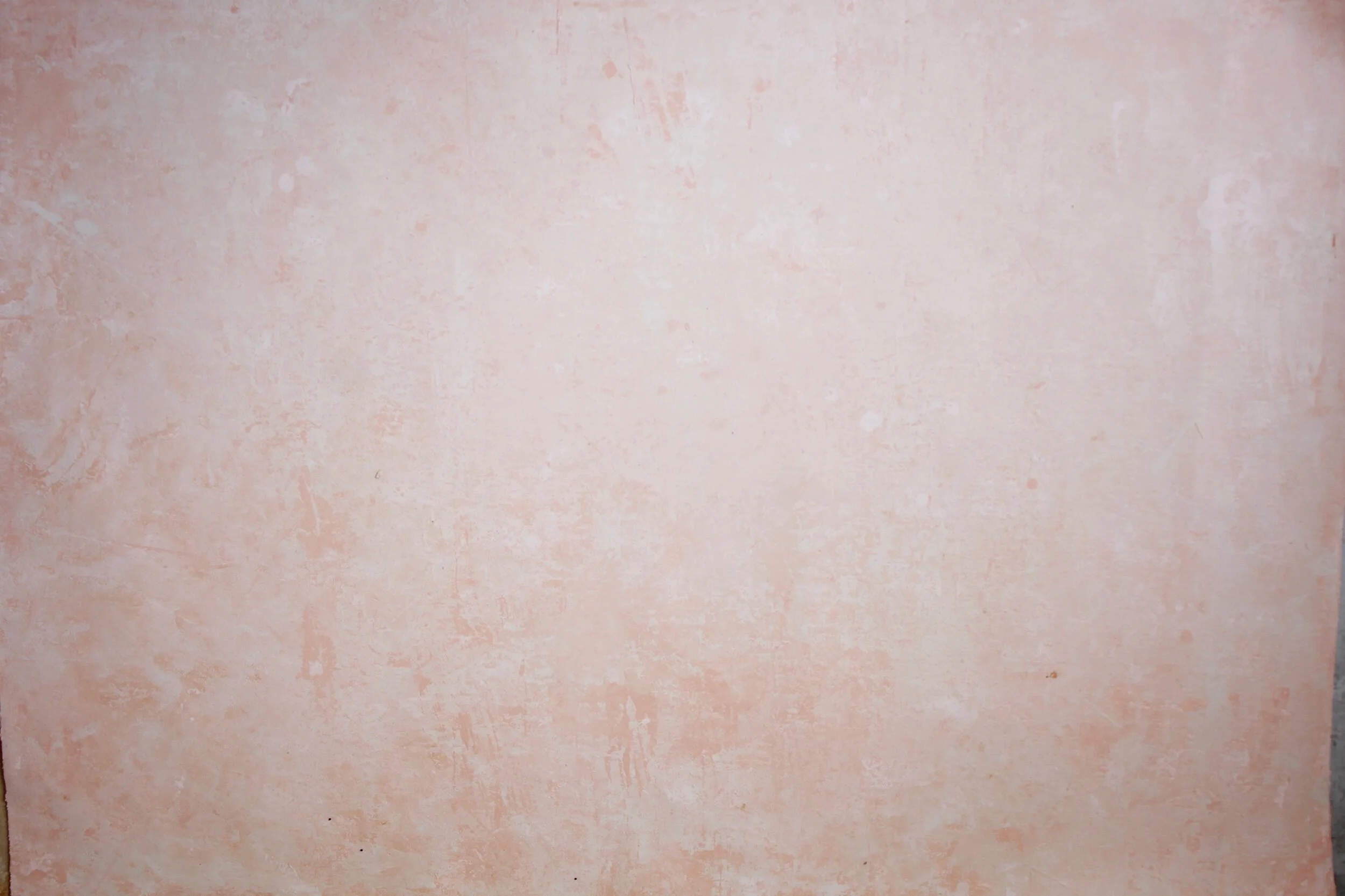 0AAAB313-94B2-4B9B-A368-47809435845B