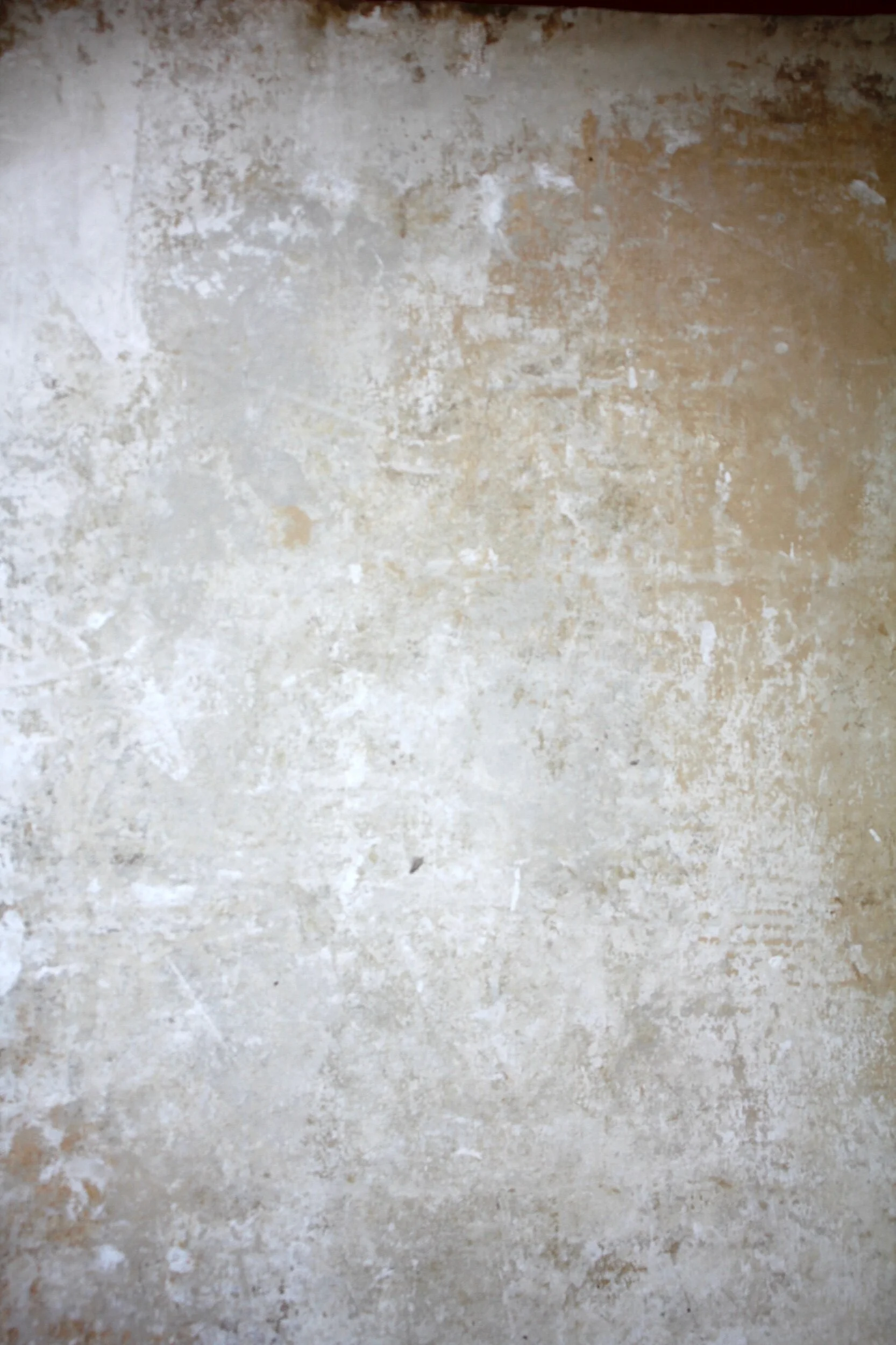 F5DAFD27-DE9E-4E13-827E-9D3DE9EA5124