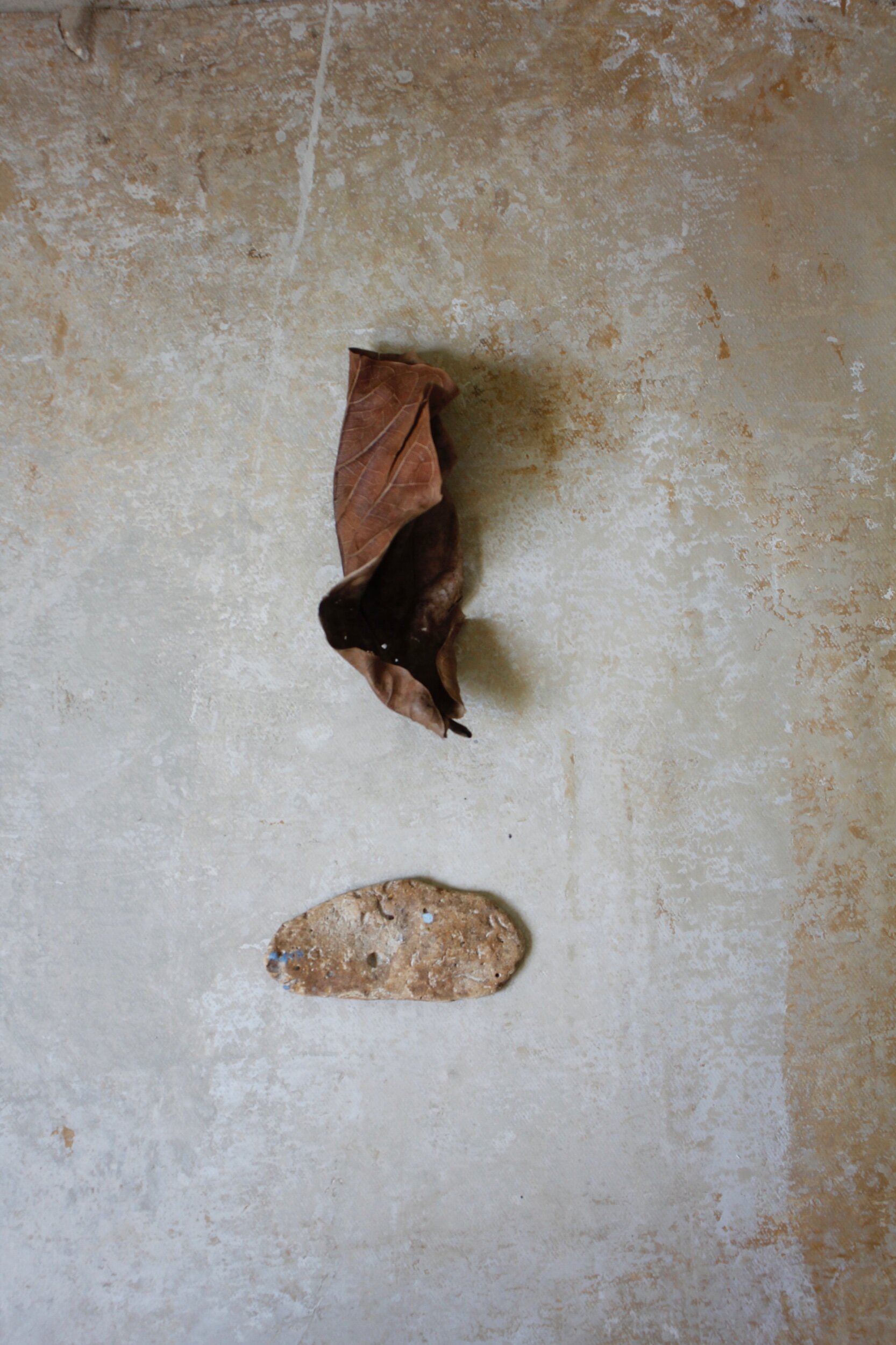 781DA00B-AC11-4861-ACAB-F72E60001942