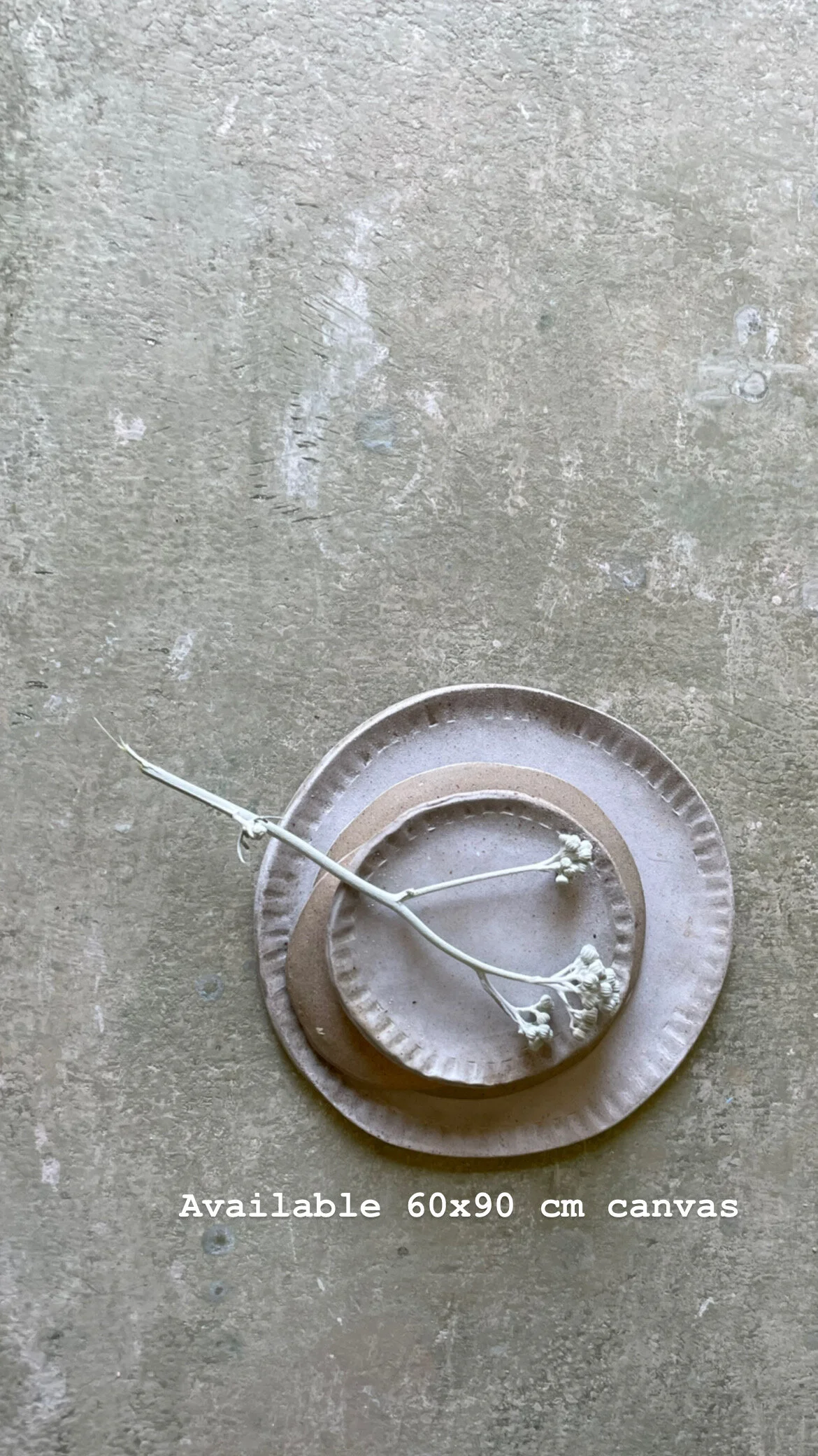 CC0660A2-CDB7-4C86-A5B4-ECF6A9414C6C