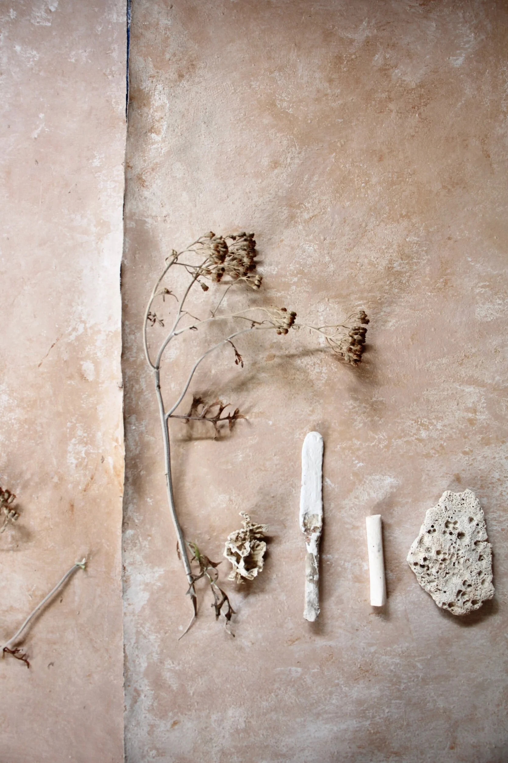 7E3D8682-DAC3-4EFB-A266-49BE5A4AD76D