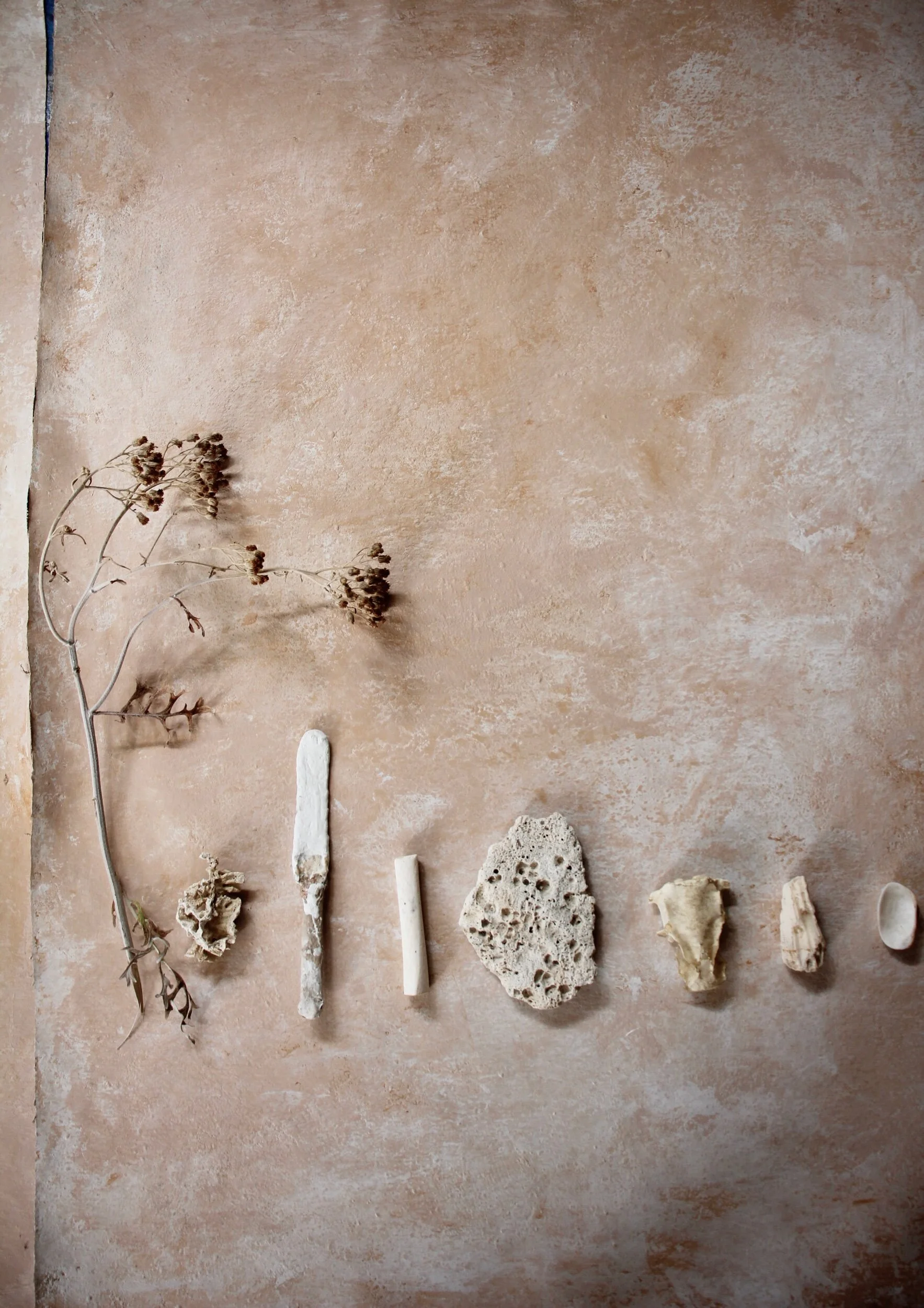 67C913F4-135F-437A-901D-8BFCAEF56B78